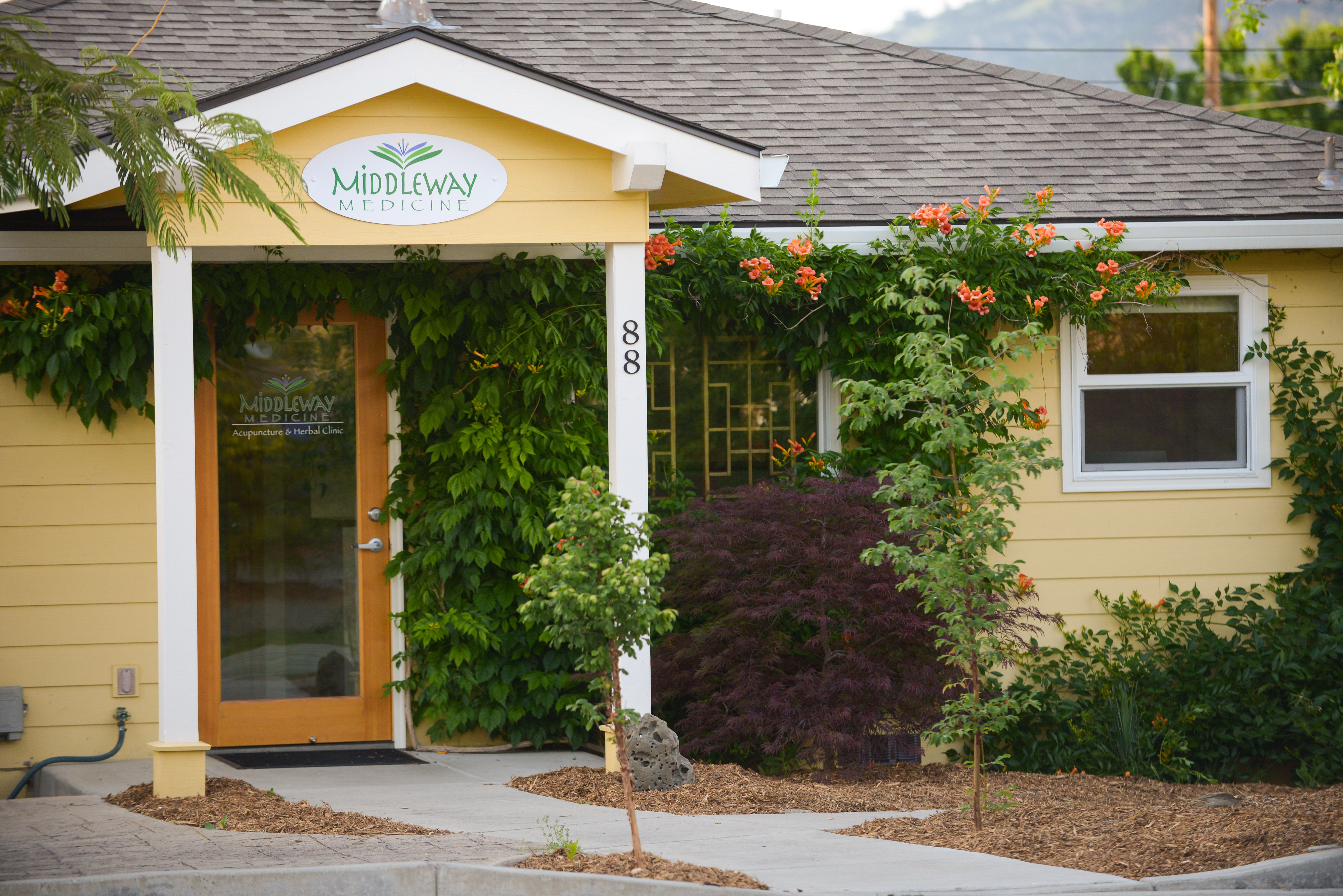 Middleway Medicine
