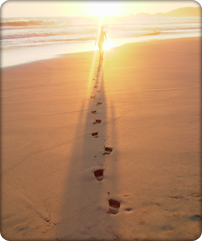 lifestyle guidance for wellness